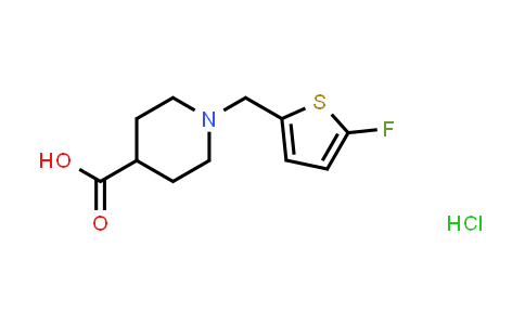 1-[(5-氟噻吩-2-基)甲基]哌啶-4-羧酸盐酸盐
