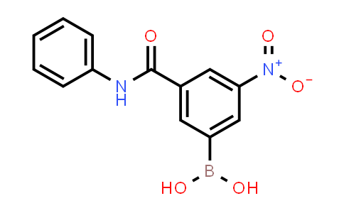 (3-硝基-5-(苯基氨基甲酰基)苯基)硼酸