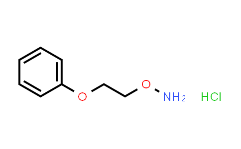 O-(2-phenoxyethyl)hydroxylamine hydrochloride