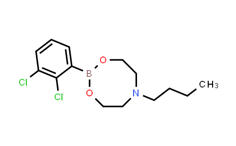 6-丁基-2-(2,3-二氯苯基)-1,3,6,2-二氧杂硼烷