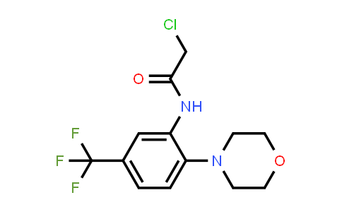2-Chloro-n-[2-(morpholin-4-yl)-5-(trifluoromethyl)phenyl]acetamide