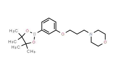 4-(3-(3-(4,4,5,5-tetramethyl-1,3,2-dioxaborolan-2-yl)phenoxy)propyl)morpholine