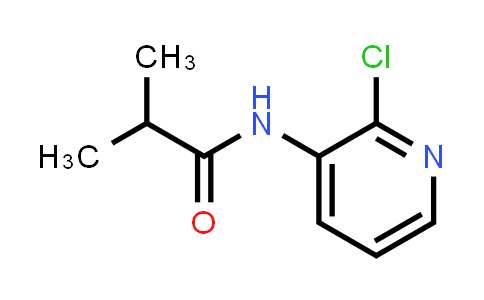 N-(2-Chloropyridin-3-yl)isobutyramide