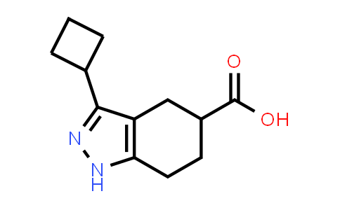 3-Cyclobutyl-4,5,6,7-tetrahydro-1H-indazole-5-carboxylic acid