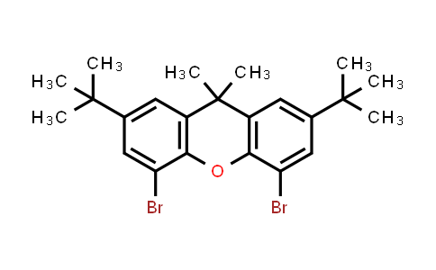 4,5-Dibromo-2,7-di-tert-butyl-9,9-dimethyl-9H-xanthene