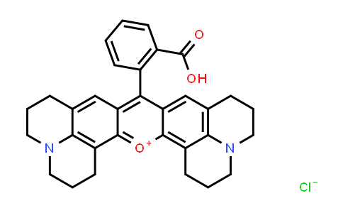 Rhodamine 101