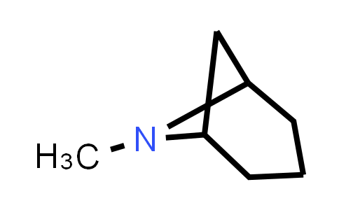 6-methyl-6-azabicyclo[3.1.1]heptane