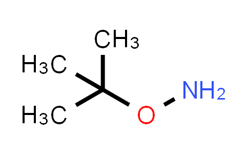 O-tert-butylhydroxylamine